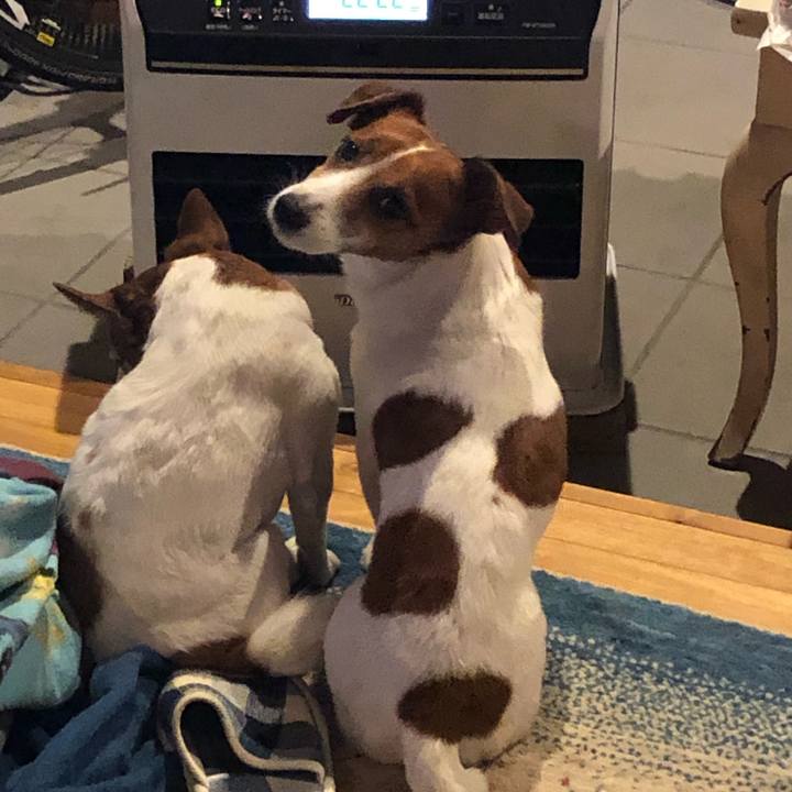 C9a5a2f7 8204 443c 9a7e 801c2318962c 1551539249419