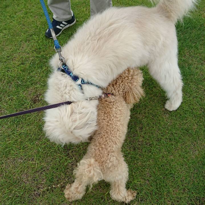 C9a5b1ad 34ea 4c6c 9420 63f07ed77433 1593942832332