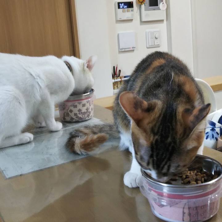 C9a5b5a3 2cb4 41bd 83a1 fe5d5af38f3c 1637370302258