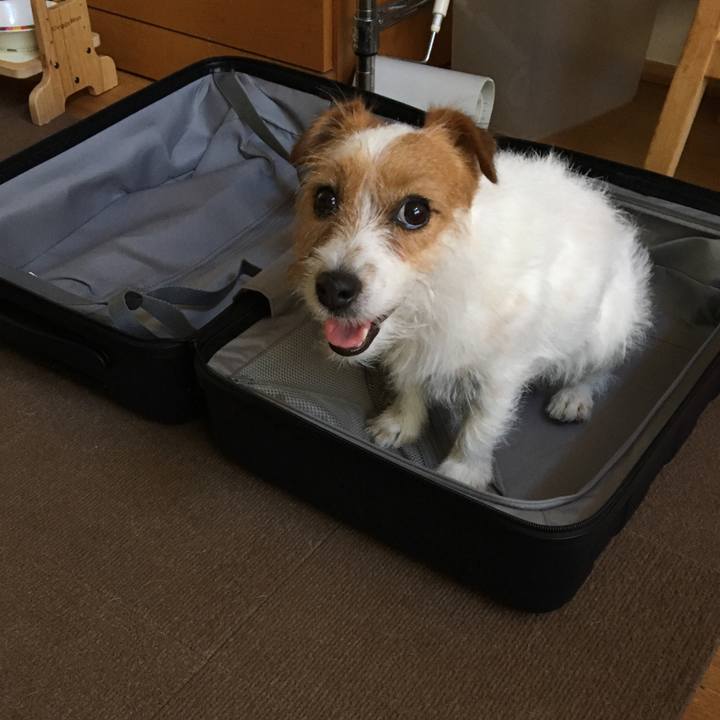 C9a5eddf 4aef 4c9a 8c59 facf77642fd2 1530792864667