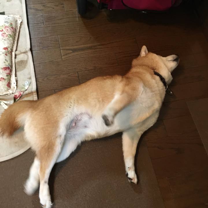 C9a5fb4b 9abe 479f 9a93 b55767979932 1531136213979