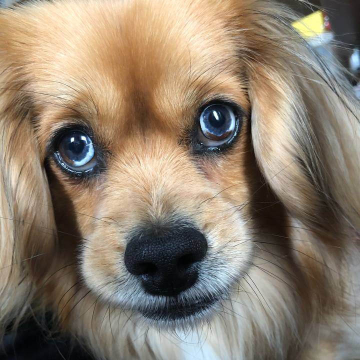 C9a611d8 a16d 4083 af2a f639ac9ee1d1 1552795840213