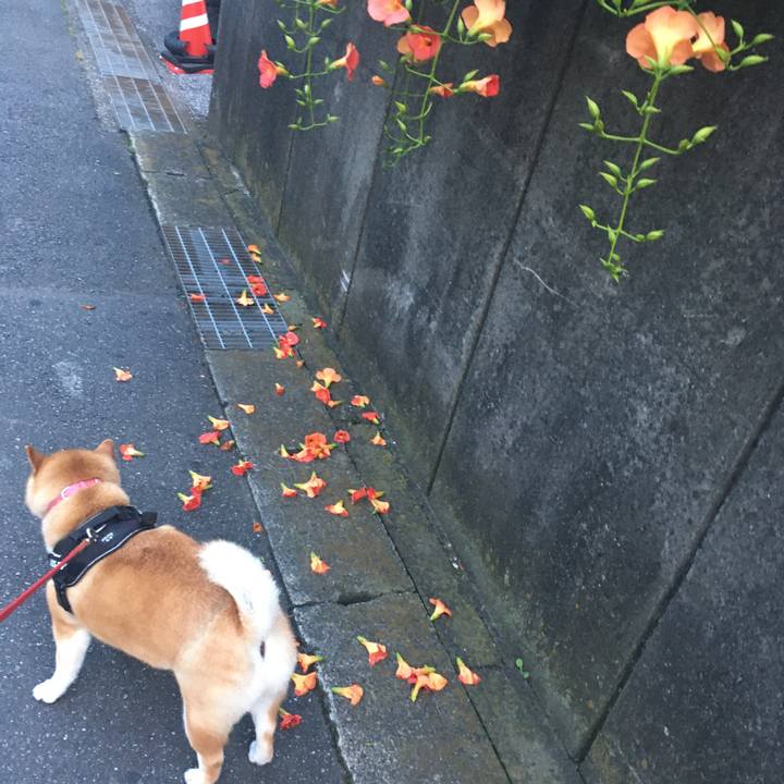 C9a61600 caab 40b7 a8ff 062b57e9b7e3 1593166505670