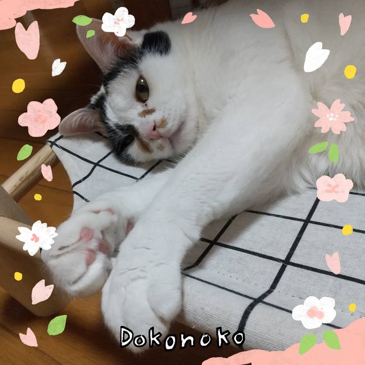 C9a65c21 cec3 46fd b361 c15a67b389f8 1711451764457