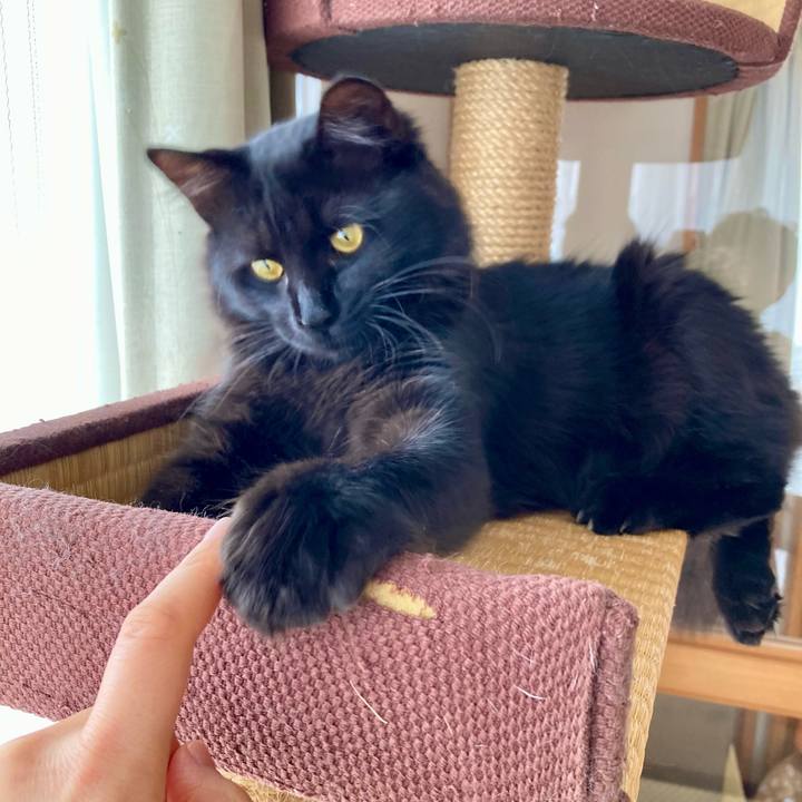 C9a6a605 48ce 45b4 a48f bea968be15ed 1712548978925