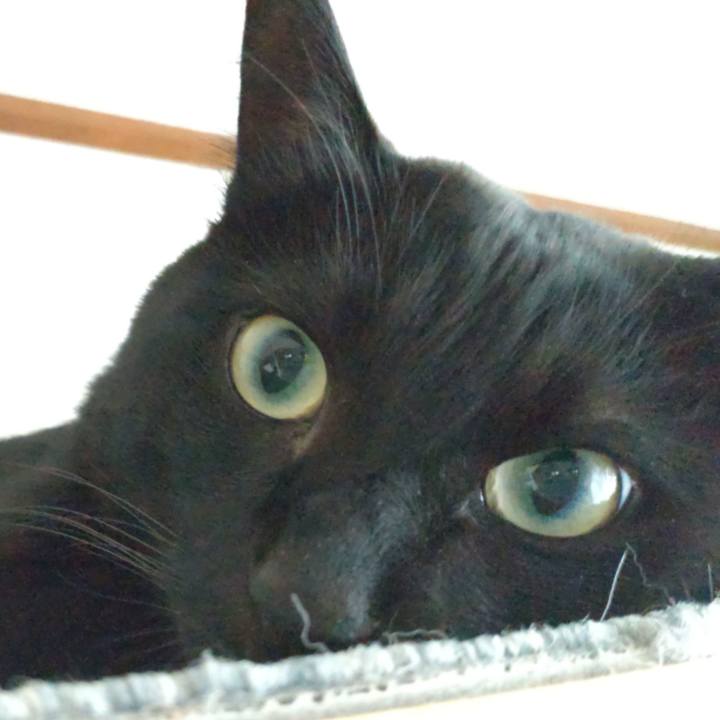 C9a6ae36 a252 4d0b bcdc 7401e845242c 1666395225625