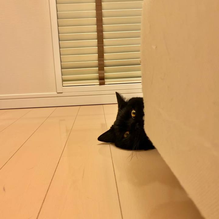 C9a6cd96 0566 4027 b753 9dcfeb078c1a 1624620329667