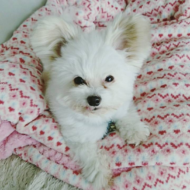 C9a718f4 b467 4a5f 937f 1f8eebd20878 1517460874600