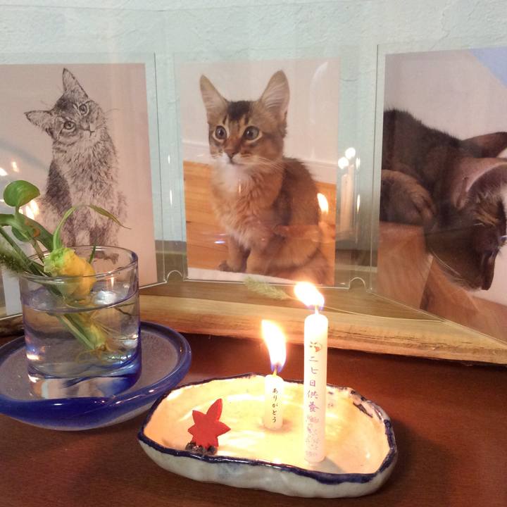 C9a76c1c 06f9 4e43 8cde 54e529532446 1570287804358