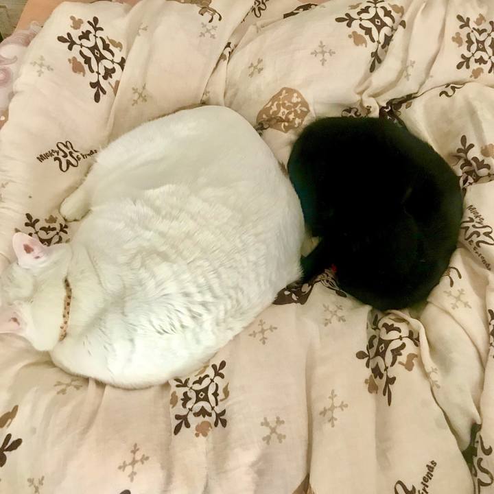 C9a77dec 89b3 49e9 960e 74082dc75c22 1587132346073