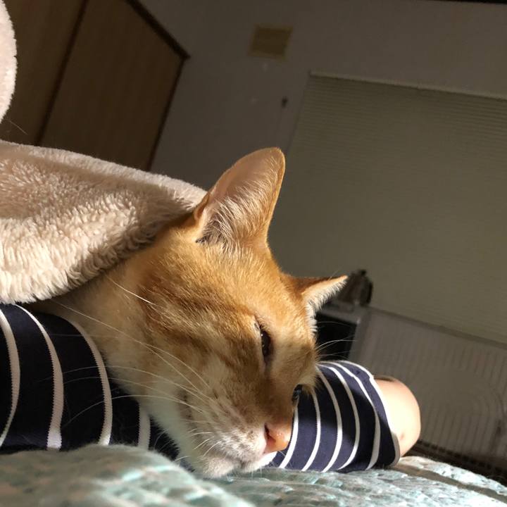 C9a78b39 a4ec 43e4 b83d b27e5639a83a 1725141458567