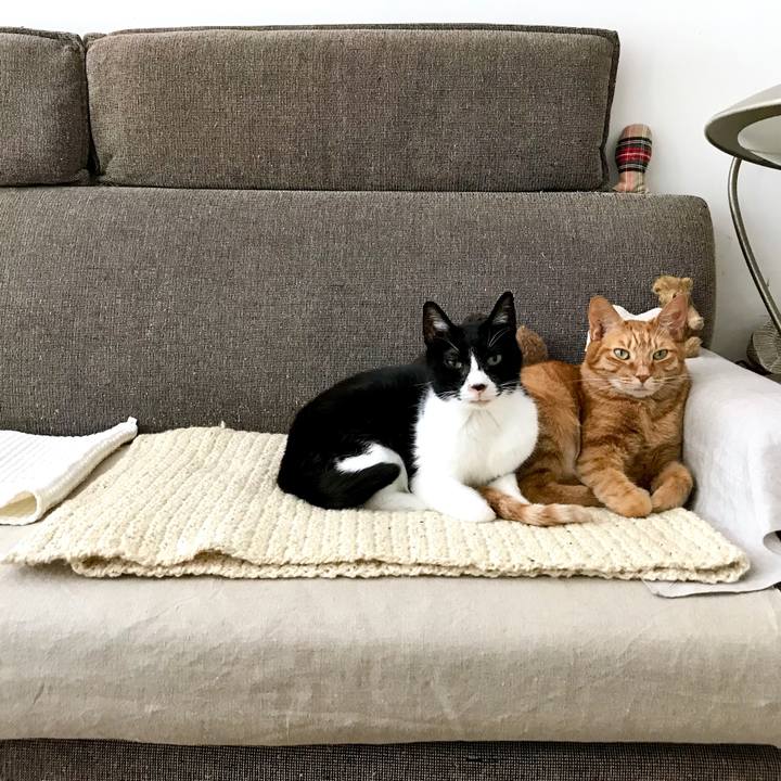 C9a78e0d 76aa 4afd 878f 03abc542ed1e 1528349127628