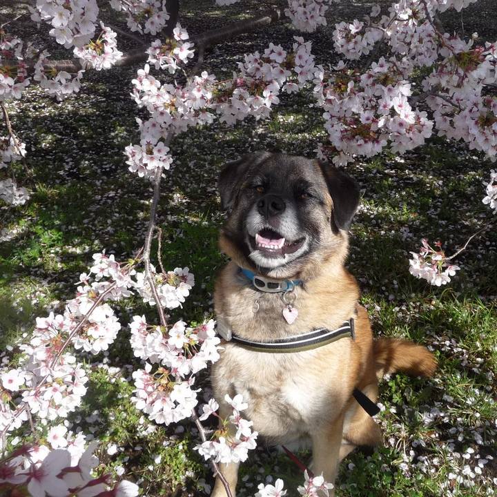 C9a79e5e 9bc0 4f89 9246 56ce928480b4 1649725215196