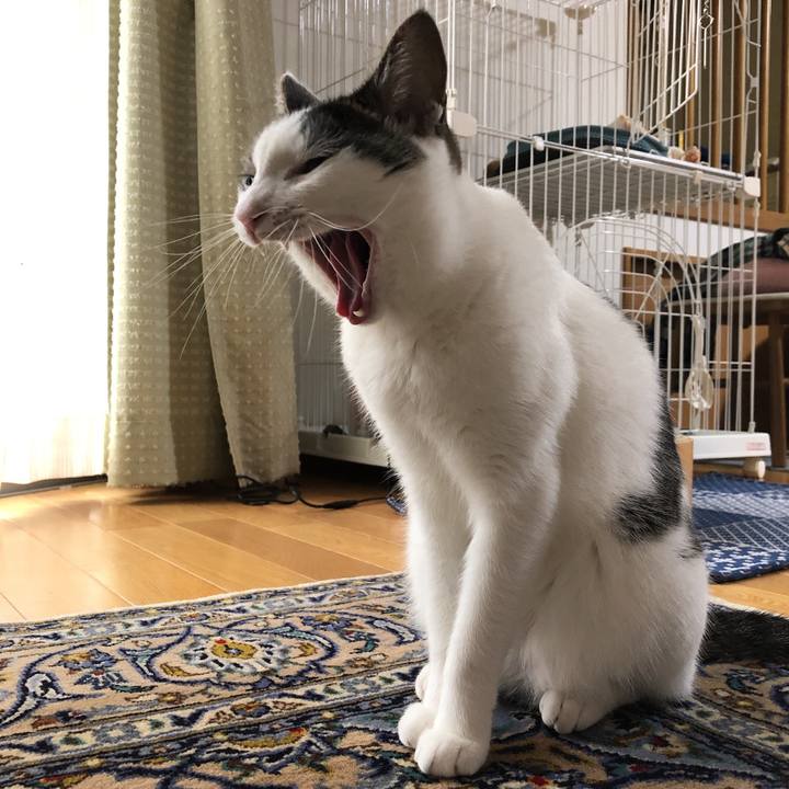 C9a79fd4 2b5c 4514 9647 46788577eb43 1629416413381