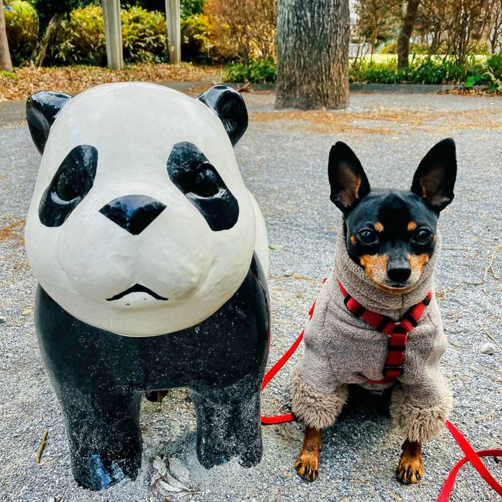 C9a7ae39 b426 4c7a 8ed3 c6a697e848a1 1736655762494