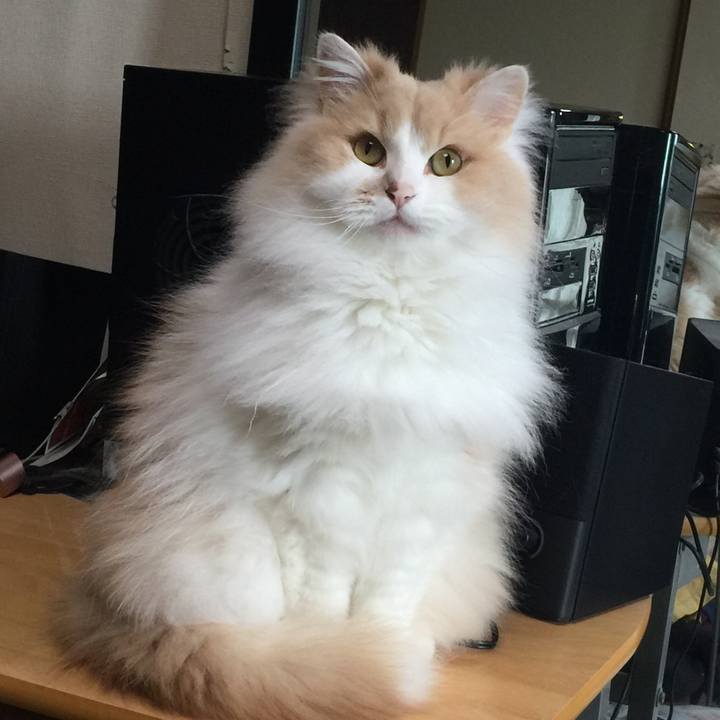 C9a7ca94 79e9 465b b180 c33da4ab3406 1557060600192