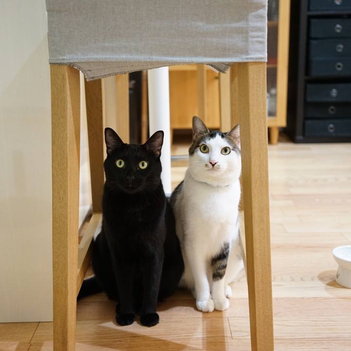 C9a80f5f b73a 4272 8e10 5fb2401aa7ba 1538661572287