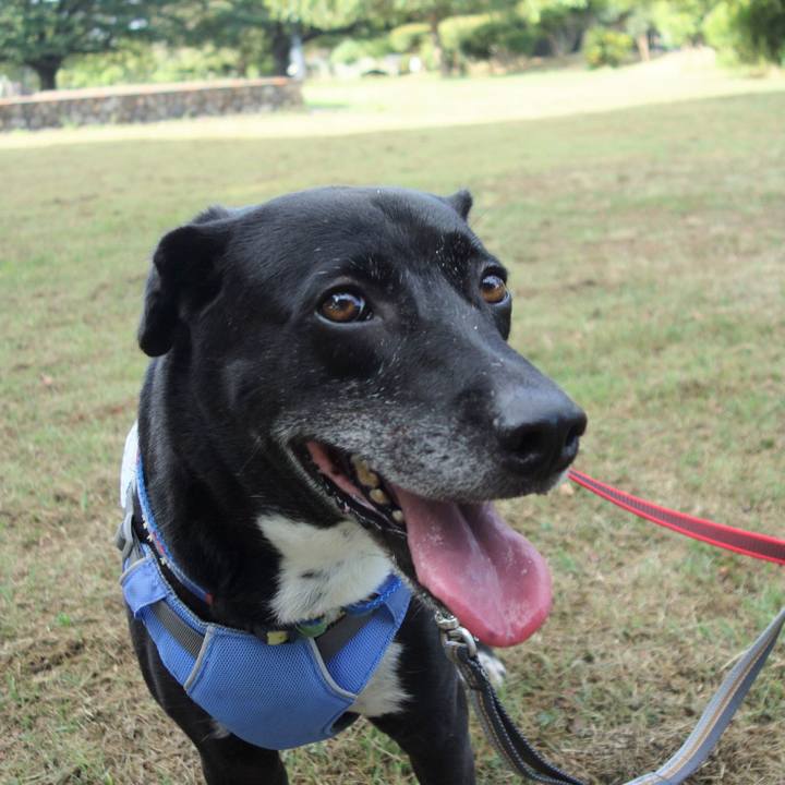 C9a85489 04a8 492a a441 6cba6186ddec 1691364735248