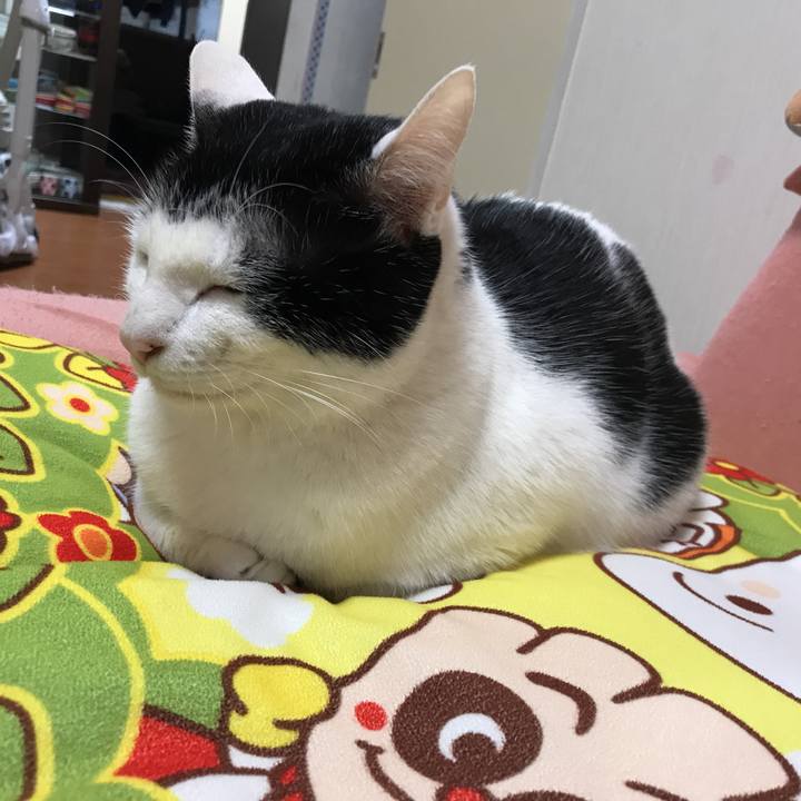 C9a868f2 00ab 419a b8eb a8c381064113 1520462388028