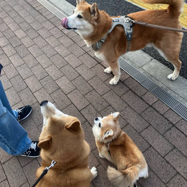 C9a8874f 5ecc 4bbd bd59 938a0e7a6db2 1773771112493