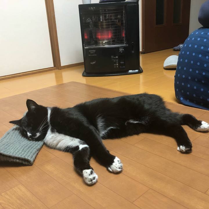 C9a8b683 5007 4382 a2d6 84720b4948e7 1521690593361