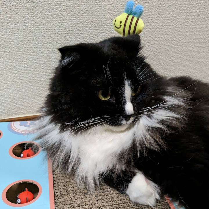 C9a8e279 df66 4ea5 9323 49594ce84ccc 1680268272848