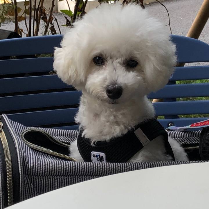 C9a9064a a350 4328 9a73 98274bba5764 1569314852698