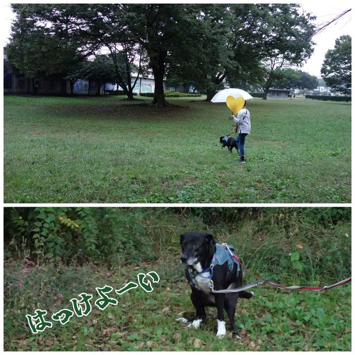 C9a909bc 74f7 448f ba1d 466dbdda59ed 1729212291773