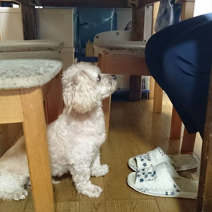 C9a92315 8414 490c 8c6c 6cd4b8daeb21 1529501472276