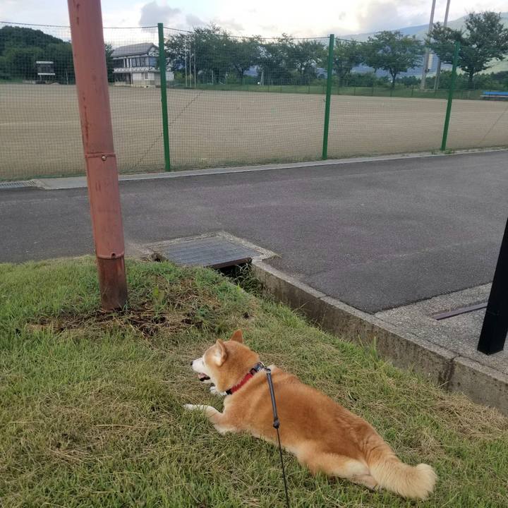 C9a95f9f 21a0 4a23 996f 62bbc0ce2f43 1724140549351