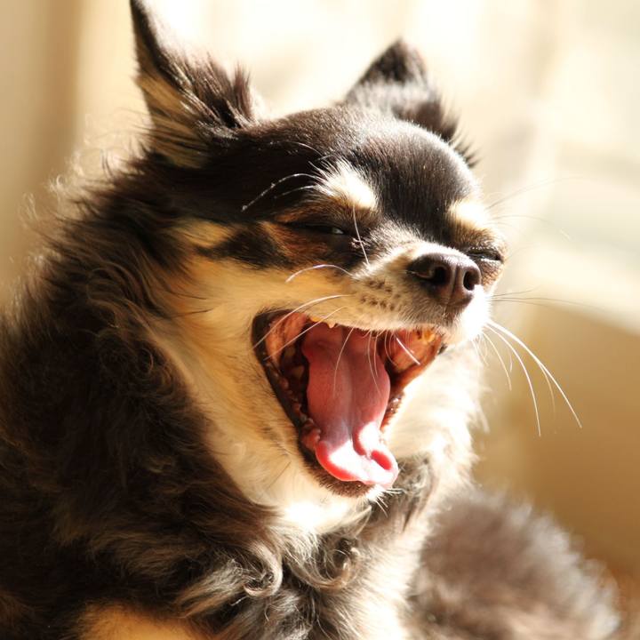 C9a9642d 6f2d 490c 8691 ca40390a4a8f 1615418454880