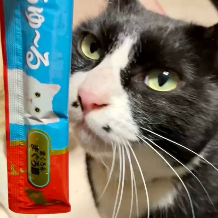 C9a98a3f 2f87 4368 8030 e83e01f13863 1741607700662