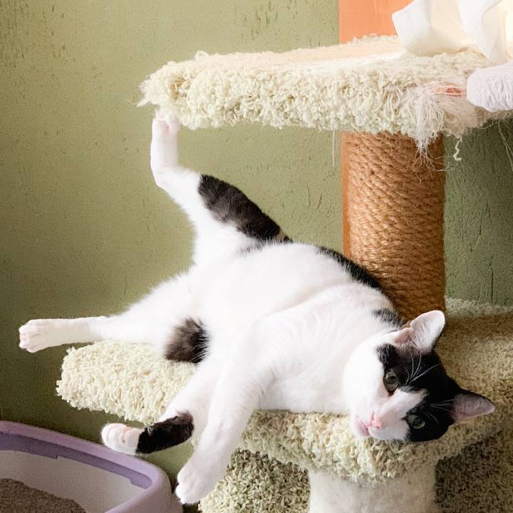 C9a99bc4 2e14 4a3f b055 8b73ffe741fa 1573178429796