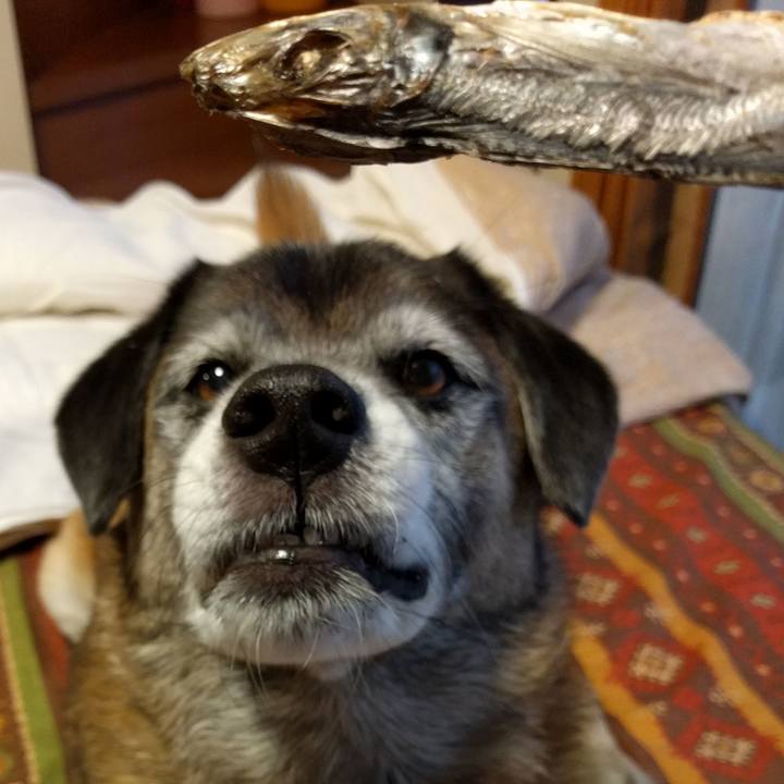 C9a9b18e 37ad 4c5f a48e 8f187c030f8a 1509174126246