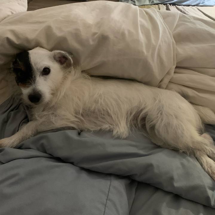 C9a9d3a9 975e 4295 a8f6 92adf626bf87 1596031065616