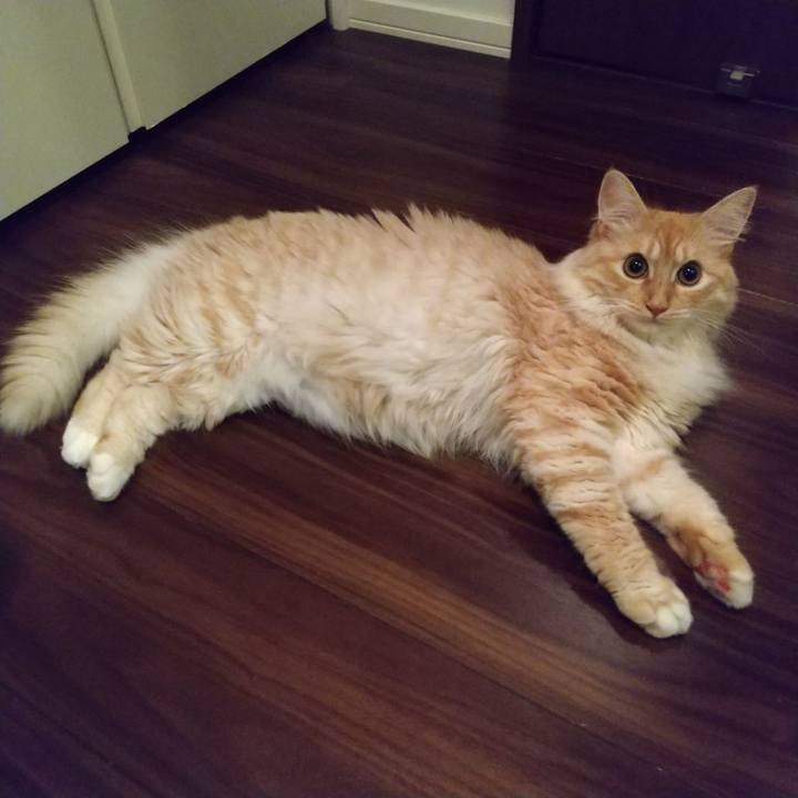 C9a9e028 a2c5 49e5 a10d 4b63bccac70d 1628683432718