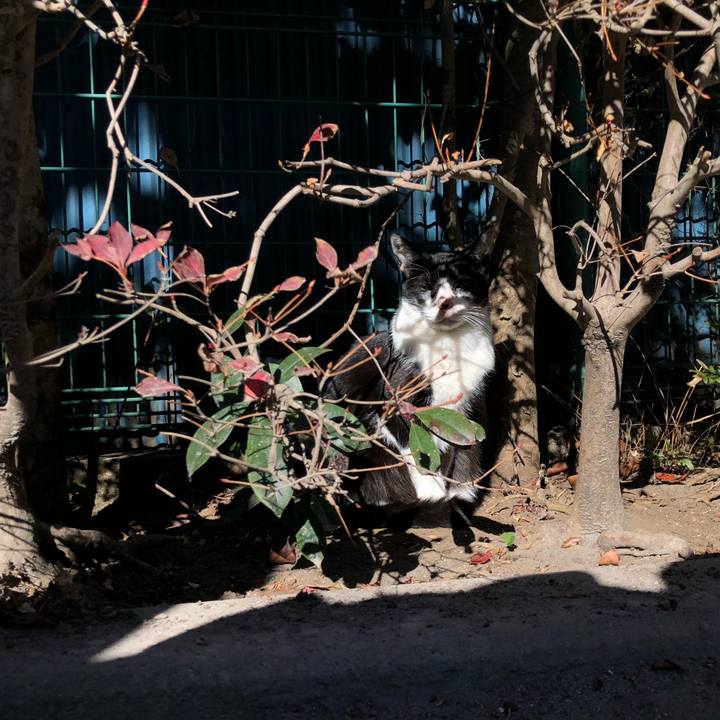 C9aa6068 2811 4acc b352 5d47d815b127 1609363241256