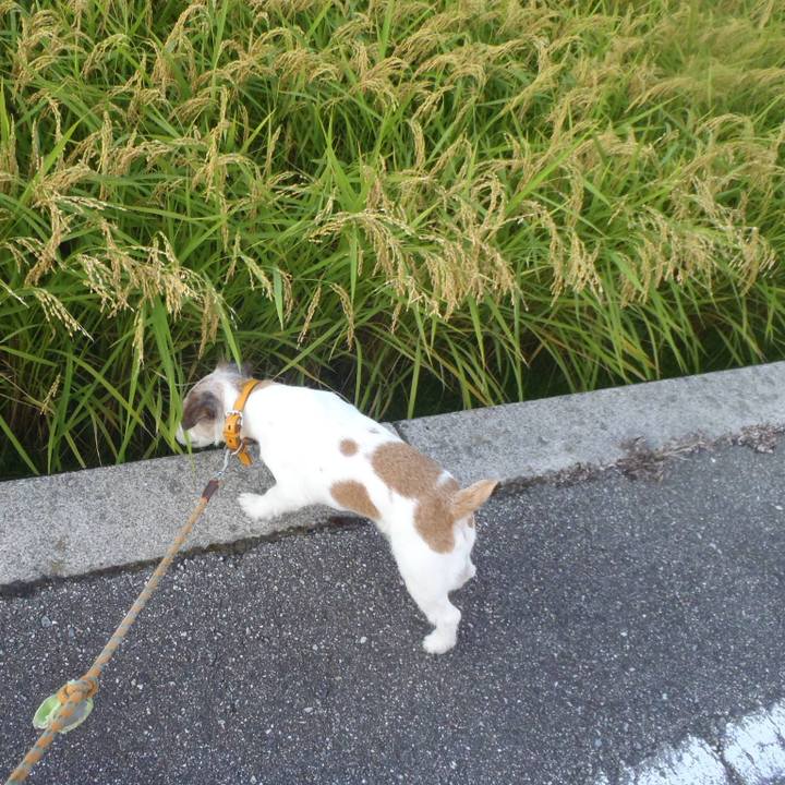 C9aadb80 3e4e 4371 8799 52dc4931ae6f 1567418879856