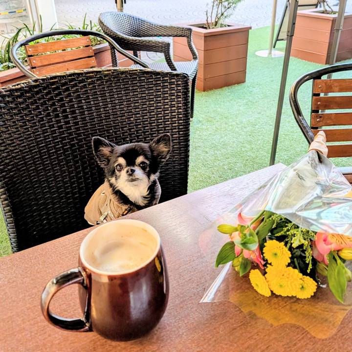 C9aae9ae 620c 4215 b5f8 ae46e902a410 1766119881146