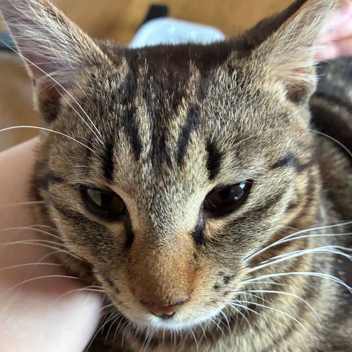 C9ab5603 99fa 49b3 99f8 dc41f5ad7b18 1750151280815