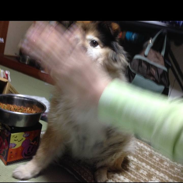 C9aba736 1ea7 4ab9 b818 373080d3d478 1590402100010