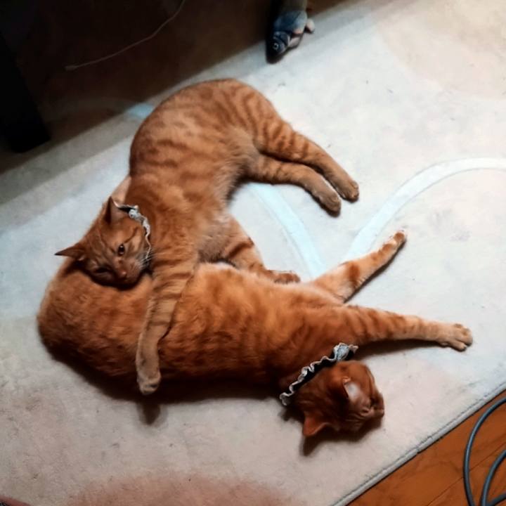 C9abfddd 65bb 4377 ba8a 7e56bf26501b 1608125469802