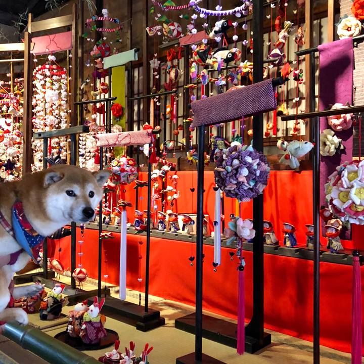 C9ac0b0c 0e72 40de 9426 80d26a1fcacd 1521017277608