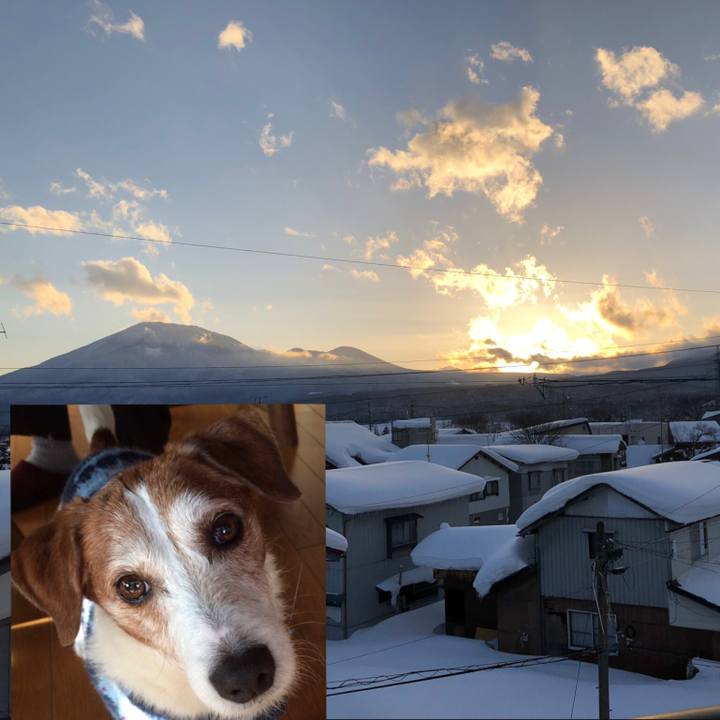 C9ac1136 aadd 4f95 9584 9a323cc1c858 1549097291818