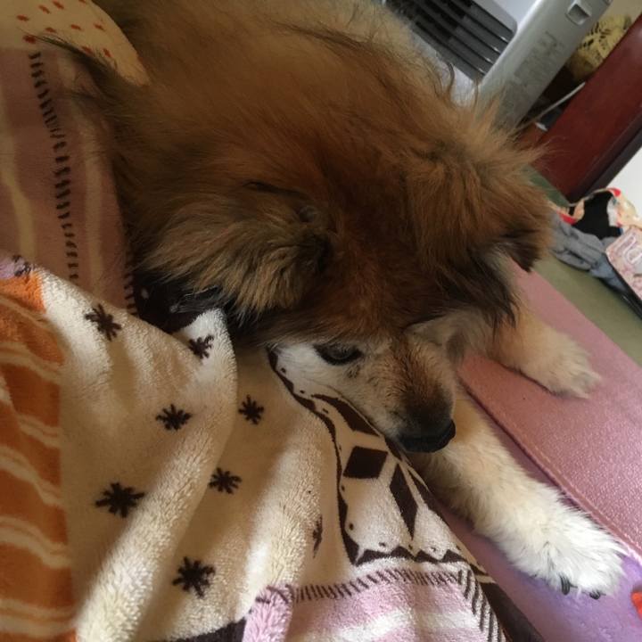 C9ac2f18 2cc8 4212 8b42 b3c499afb6f2 1579937945571