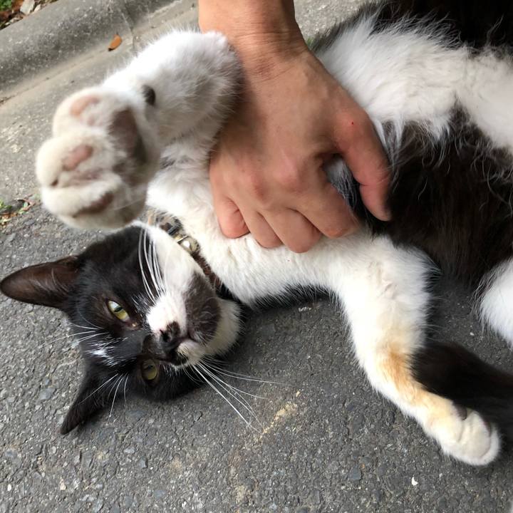 C9ac6d27 aeb9 4dd5 9203 8a50f8774b56 1526652205531