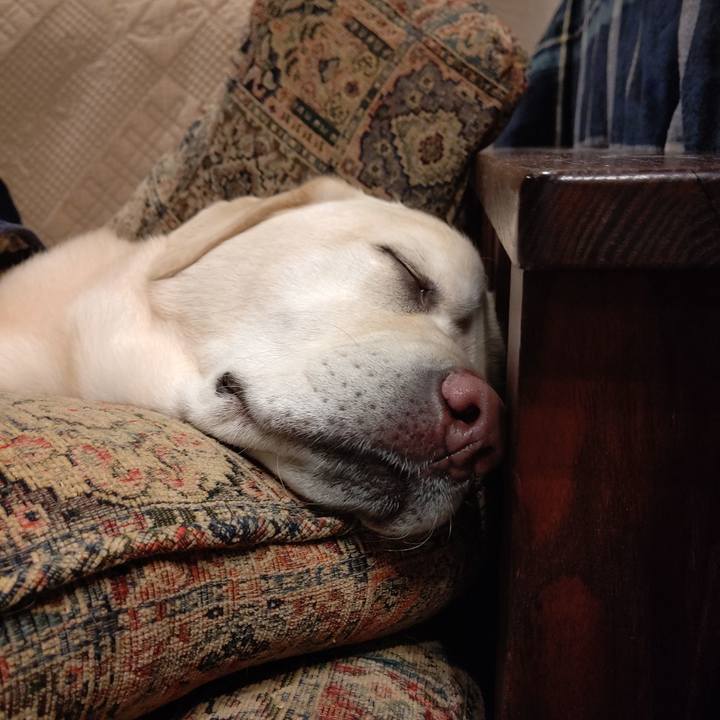 C9aca46d 9363 4621 b0b4 4bed4a56ed6b 1672402142036