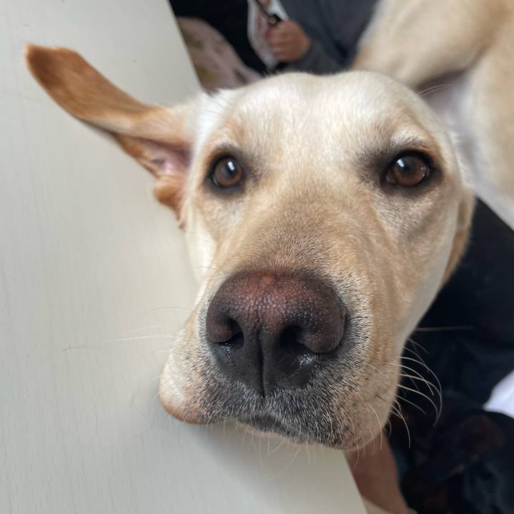 C9acbbc1 004d 4883 a256 a964950a34b9 1648872740333