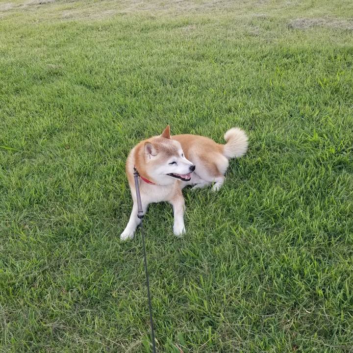 C9ad23af 3e10 4fc4 ae08 7b6296fec8f6 1722758283517