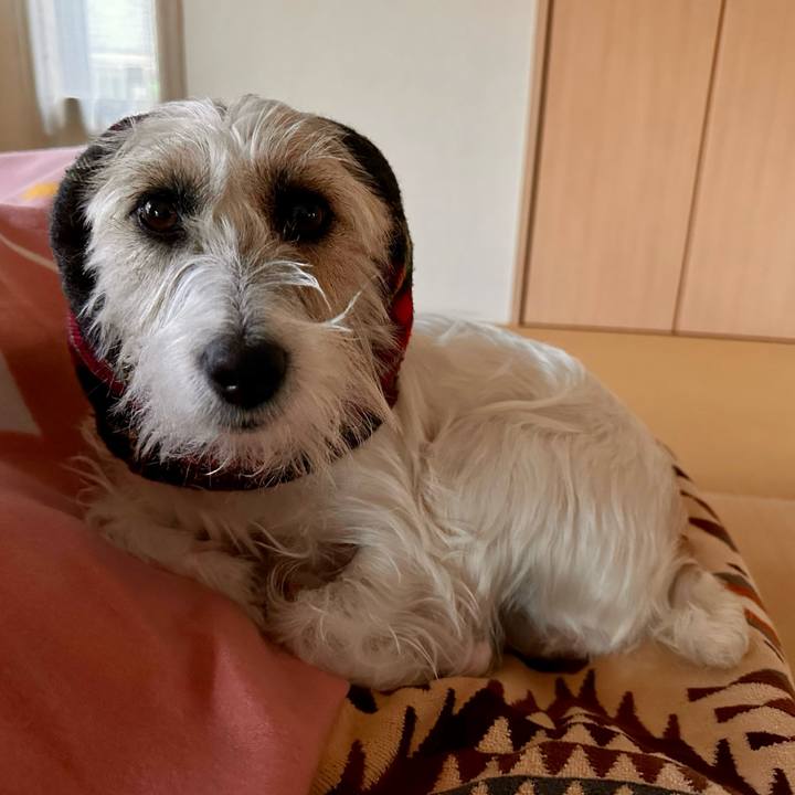 C9ad89b4 236a 4c9e b204 79629bfbfadb 1707079415186